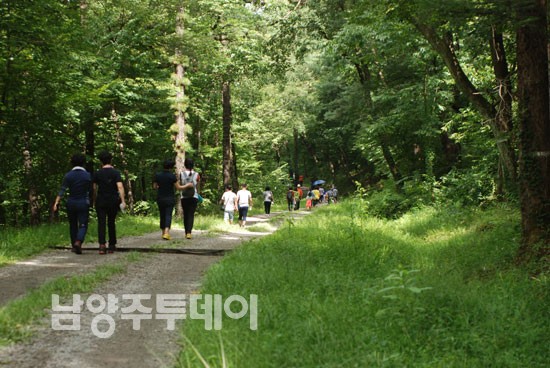 광릉숲축제기간 숲길을 걷고 있는 시민들.